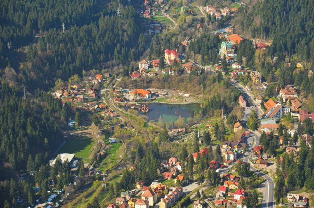Primăria din Băile Tușnad va tăia pomii fructiferi de pe domeniul public, ca să nu mai atragă urșii în căutare de hrană