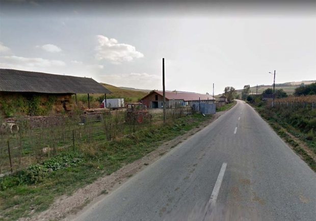 Cinci copii săraci, ținuți sclavi trei ani, într-o fermă din Bihor. Ce pedeapsă a primit „proprietarul”