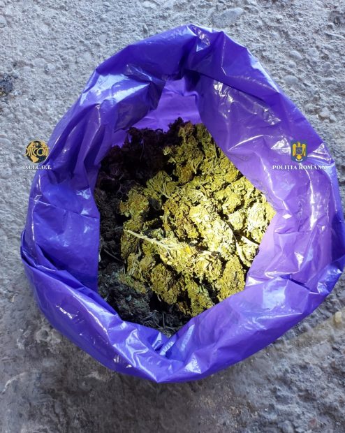 Grupare de traficanți de droguri destructurată de DIICOT la Oradea. Cinci tineri au fost reținuți