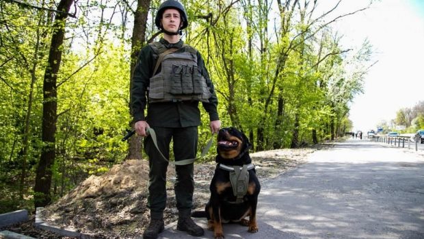 Gabriella, rotweillerul care apără Kievul: „Este profesionistă atestată pentru căutare de arme și muniție”