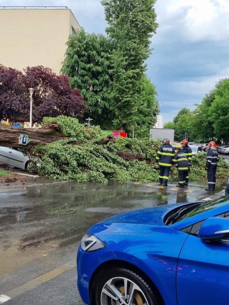 Pagube în mai multe zone din București, după o ploaie torențială. Străzi inundate, copaci doborâți și mașini distruse