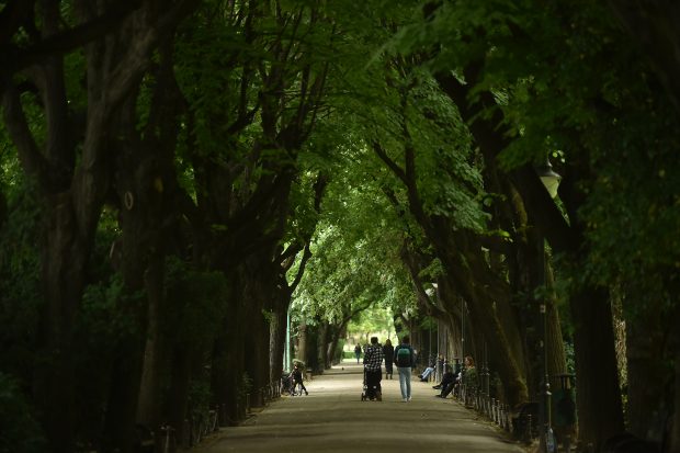 Fotografie de grup: Trei prieteni cu maxilarele încleștate într-un parc din București și o sumedenie de gânduri