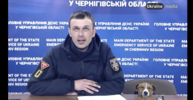 Faimosul câine Patron, care salvează zilnic ucrainenii de minele lăsate în urmă de ruși, surprins când trage un pui de somn în timpul unei conferințe de presă
