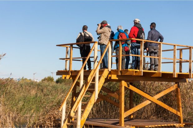 Primăria Capitalei va demola foișoarele de observare din Parcul Natural Văcărești: „Punem altele în loc în câteva zile”