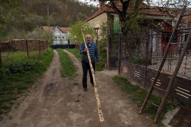 REPORTAJ. „Armindenul” lui Nea Dumitru, obicei vechi de când satele din Țara Hațegului. De ce se pune mesteacăn la poartă de 1 mai