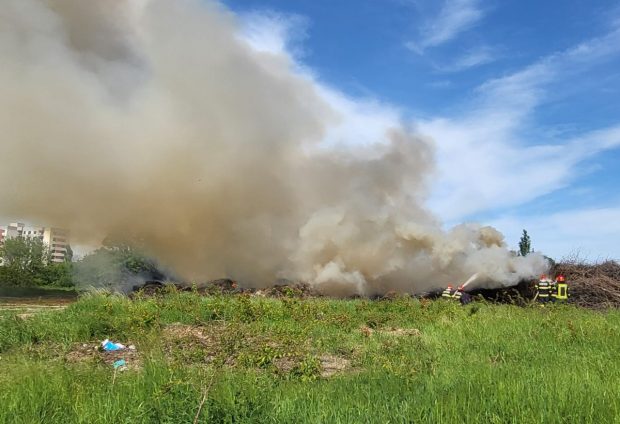 Incendiu puternic în Parcul Grozăvești din București. A fost emis mesaj Ro Alert