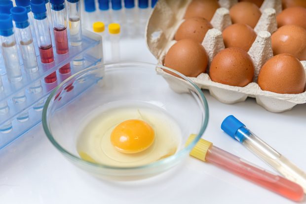 Infecția cu Salmonella – simptome, tratament, prevenție