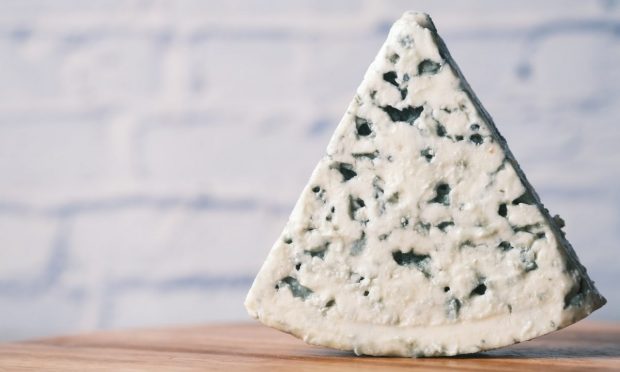 Din gorgonzola și burrata s-a născut burgonza