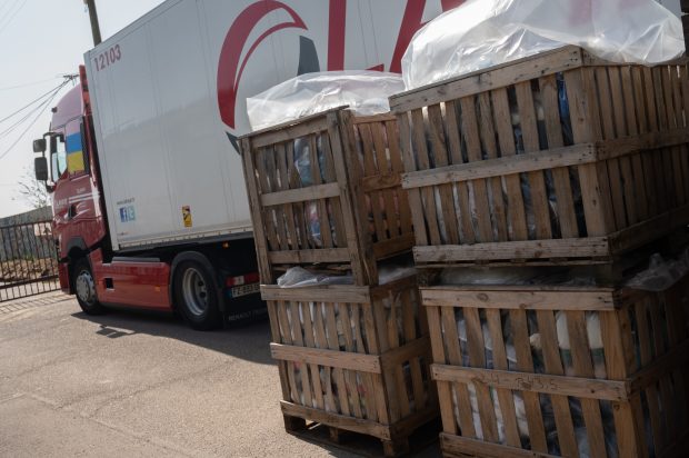 Șofer român de TIR lăsat în viață de rușii care i-au jefuit transportul umanitar, în Ucraina. „Scăparea a fost paşaportul românesc”