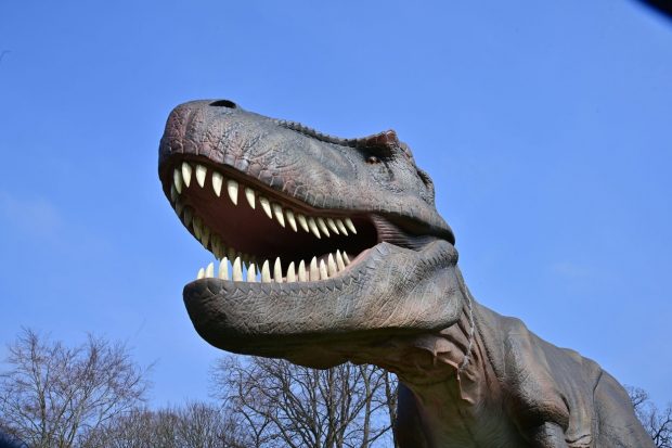 Fosilele unui dinozaur care a inspirat „Jurassic Park” s-au vândut cu peste 12 milioane de dolari