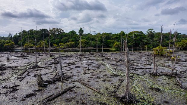 Țările cu cele mai mici emisii de carbon, cele mai afectate de criza climatică declanșată de marile puteri economice