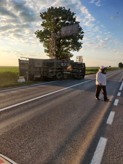 Mesaj RO-ALERT neașteptat în Neamț: Pericol de înţepături de albine. Ce s-a întâmplat