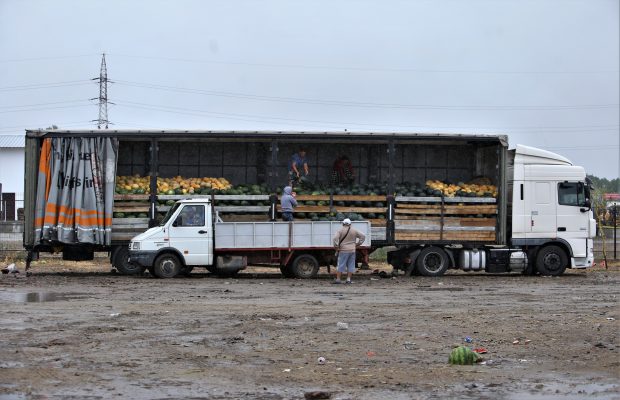 Câte tone de pepeni trebuie să vândă un producător din Dăbuleni ca să-și trimită copilul la o școală bună? Întrebare pentru clasa de mijloc
