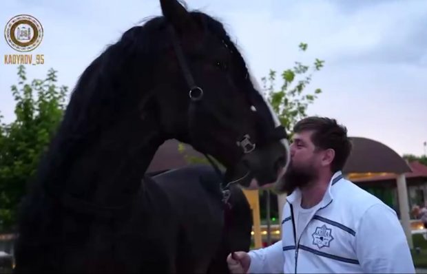 Ramzan Kadîrov se laudă că a primit un armăsar de rasă de la un „admirator din Germania” care vrea să se mute „în Rusia puternică și iubitoare de libertate”