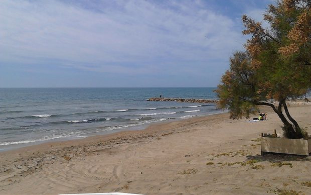 Un rinichi și un ficat găsite pe aceeași plajă, în două zile diferite, în Italia: „Sunt organe umane”