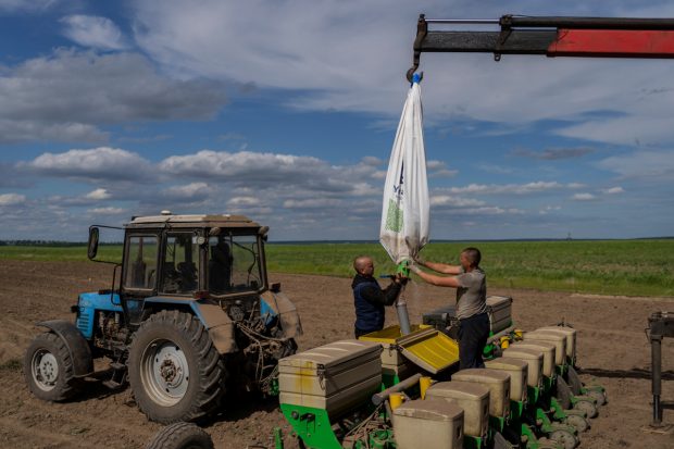 Fermierii ucraineni din Est susțin că „Rusia ne cere 70% din recoltă ca să putem exporta”