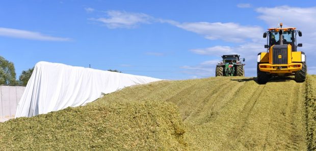 23,5 milioane de tone de cereale sunt blocate în Ucraina. Exportul, redus la o cincime din cauza războiului