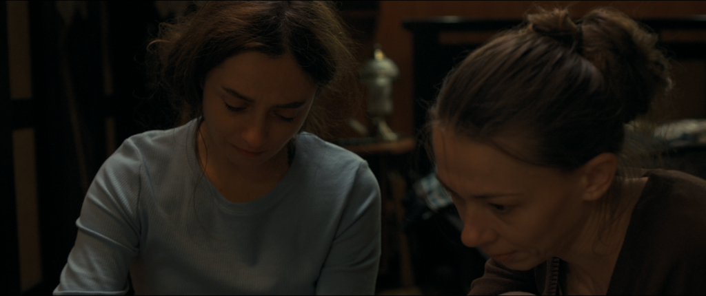 Cineaștii generației Z își aduc scurtmetrajele la TIFF 2022. Ei promit energie, diversitate și inovație pentru viitorul cinematografiei din România