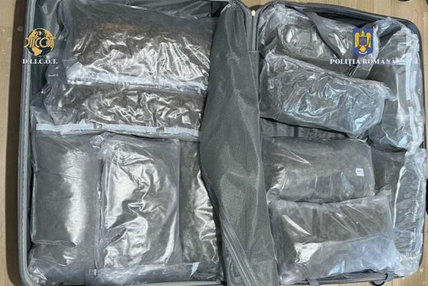 74 de dosare penale au fost deschise pentru deţinerea de droguri de risc şi de mare risc pentru consum propriu, după festivalul Saga