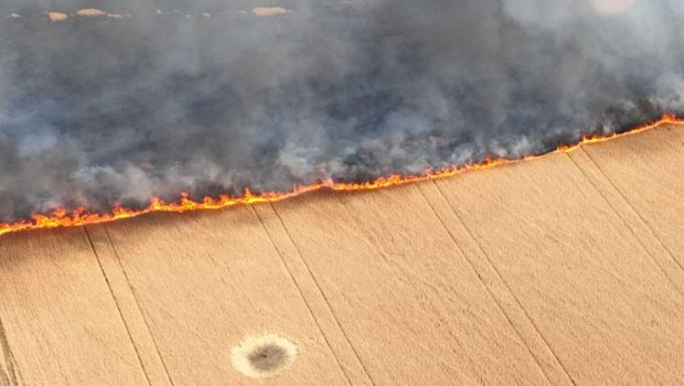 „Ne ard pâinea!”. Ucraina acuză armata rusă că a incendiat intenționat lanurile de grâu din sudul țării