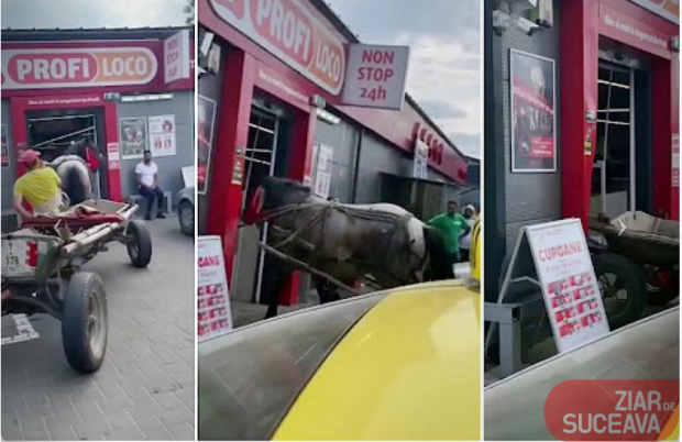 Un agent de pază din Suceava a intrat cu calul în magazinul în care lucra, pentru a atrage atenția polițiștilor | VIDEO