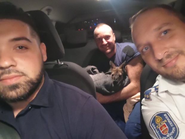 Polițiștii au fugărit un cangur pe străzile din Budapesta. Animalul a fost dus la o grădină zoologică – VIDEO