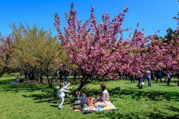 Prognoza meteo pentru următoarele două săptămâni. Temperaturi maxime de până la 28 de grade
