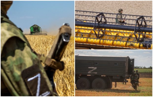 Rușii recunosc că duc cerealele din Ucraina la Moscova. Soldați înarmați păzesc secerișul: „Asigurăm securitatea alimentară a statului”