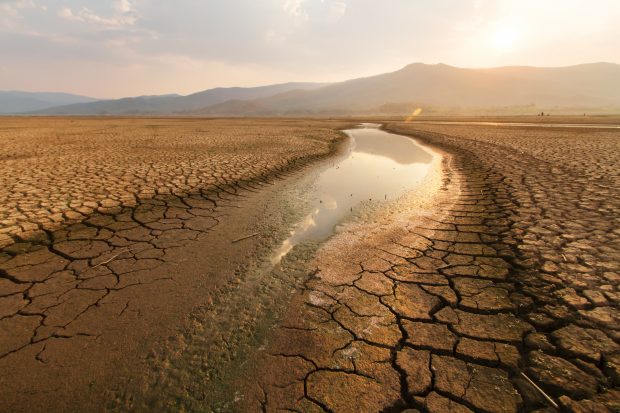Omenirea este în pragul „sinuciderii colective” din cauza crizei climatice, avertizează șeful ONU