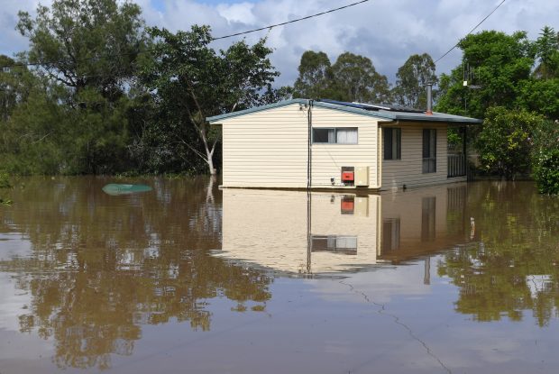 Mediul din Australia se află într-un declin „șocant”. A pierdut mai multe specii decât oricare alt continent, arată un raport