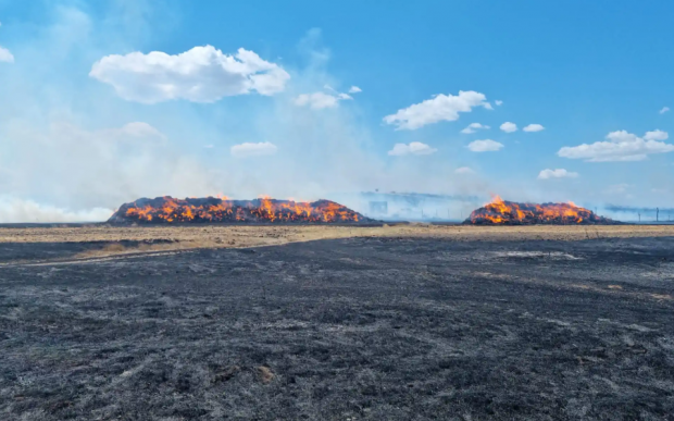 Incendiu de vegetație în Tulcea, declanșat de tragerile din poligonul de la Babadag. Peste 50 de hectare au fost cuprinse de flăcări