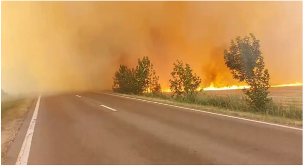 Incendiul de vegetație care a blocat traficul pe E 70 din județul Teleorman a fost stins
