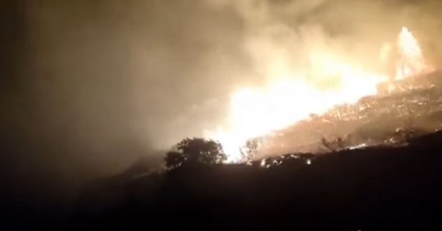 Incendii de vegetație în Grecia. Un oraș din centrul țării a fost evacuat parțial. Focul s-a extins la un hotel din Peloponez
