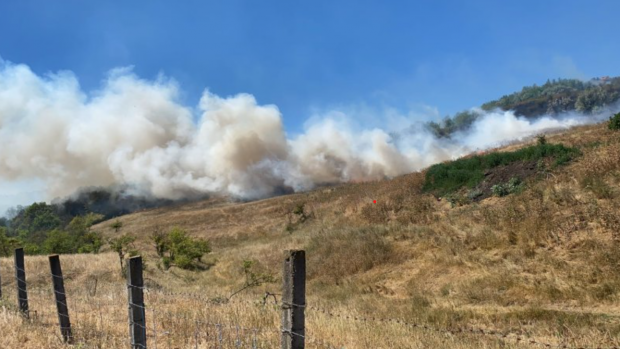 O femeie a fost găsită moartă pe un teren din Iași cuprins de un incendiu de vegetație