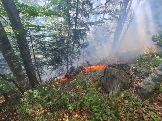 Incendiu de pădure în Munţii Rodnei. Au intervenit zeci de pompieri militari şi voluntari
