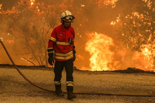 Efectul valului feroce de căldură din vestul Europei: peste 1.000 de morți, recorduri de temperatură și numeroase incendii. Ce urmează