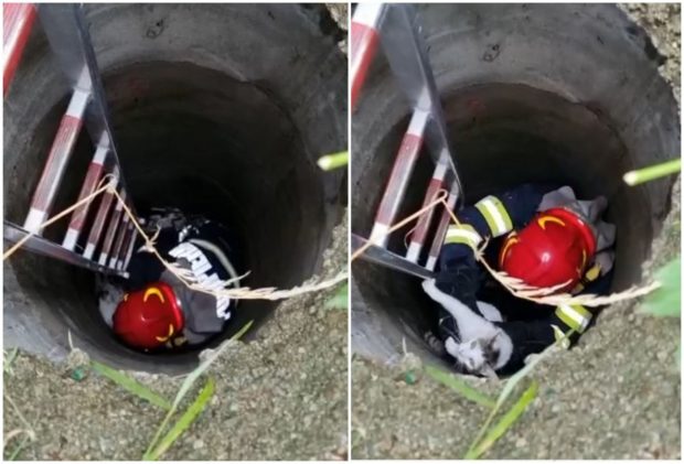 O pisică blocată într-un canal a fost salvată de pompierii din Piteşti
