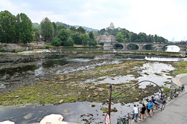 Seceta din Italia pune în pericol producția de parmezan. „Situația este critică și nu poate decât să se înrăutățească”