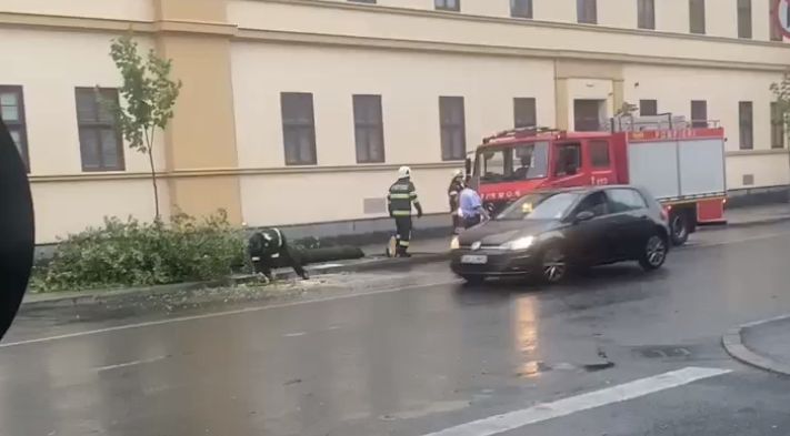 Urmările alertelor meteo de vijelii: clădiri inundate și copaci doborâți de vânt. Unde a fost nevoie de intervenția pompierilor