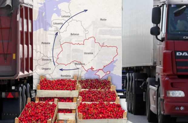 Interviu cu un TIR-ist care transportă cireșe spre Rusia: „Mănâncă tot, fără pretenţii şi plătesc bine”