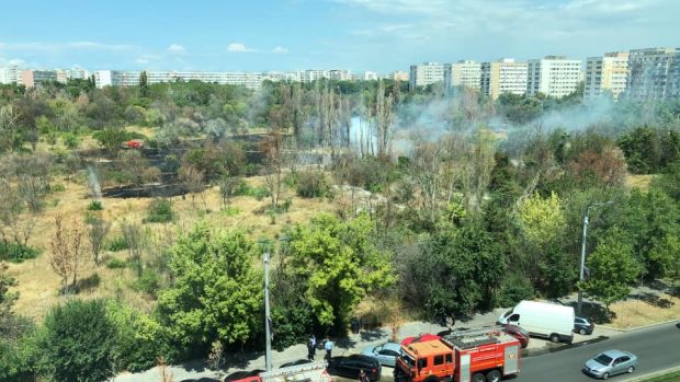 VIDEO | Incendiul de vegetație uscată din parcul IOR din București a fost stins după trei ore. Ce suprafață a fost afectată