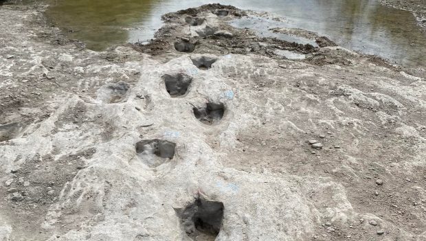 Jurassic Park! Urme de dinozaur, vechi de 113 milioane de ani, scoase la iveală de seceta din SUA