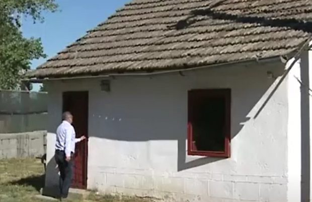 Primarul din Calafat i-a făcut birou viceprimarului în adăpostul de câini: „E aproape de locul de muncă!”