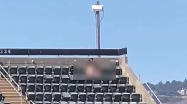 Ce a făcut un cuplu care se plictisea în tribună, în timpul unui meci de baseball din SUA. Riscă șase luni de închisoare