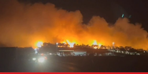 Mii de petrecăreți din cluburile de noapte de pe insula croată Pag, evacuați după ce o pădure de pini a luat foc