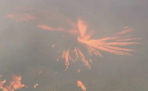 O „tornadă de foc”, surprinsă la un incendiu de vegetație în Los Angeles