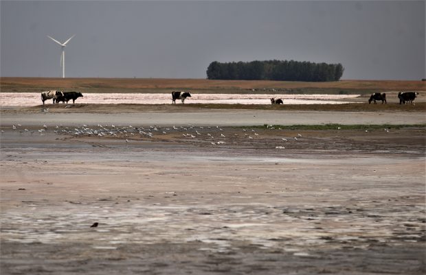 A secat cel mai sărat lac din România: în locul unei staţiuni, la Movila Miresei, a apărut un câmp de cristale – FOTO