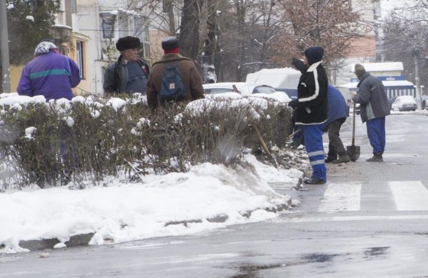 Primăria Brazi a plătit o firmă să scuture de zăpadă gardul viu din parc. Consilier local: „În 2021 nu a nins și nici gard viu n-aveau”￼￼