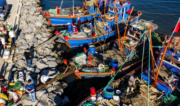 China testează pentru COVID peștii și fructele de mare vii, de teama unui nou focar masiv în Xiamen