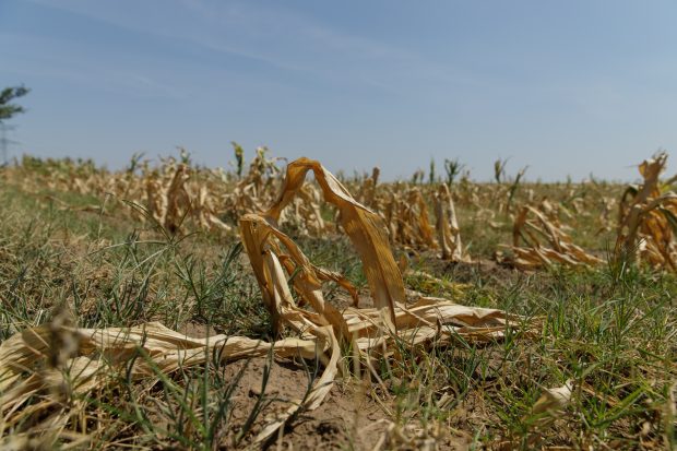 „Căldură mare, monșer!”. Ce pași a făcut România, în aproape două decenii, pentru a se adapta la schimbările climatice